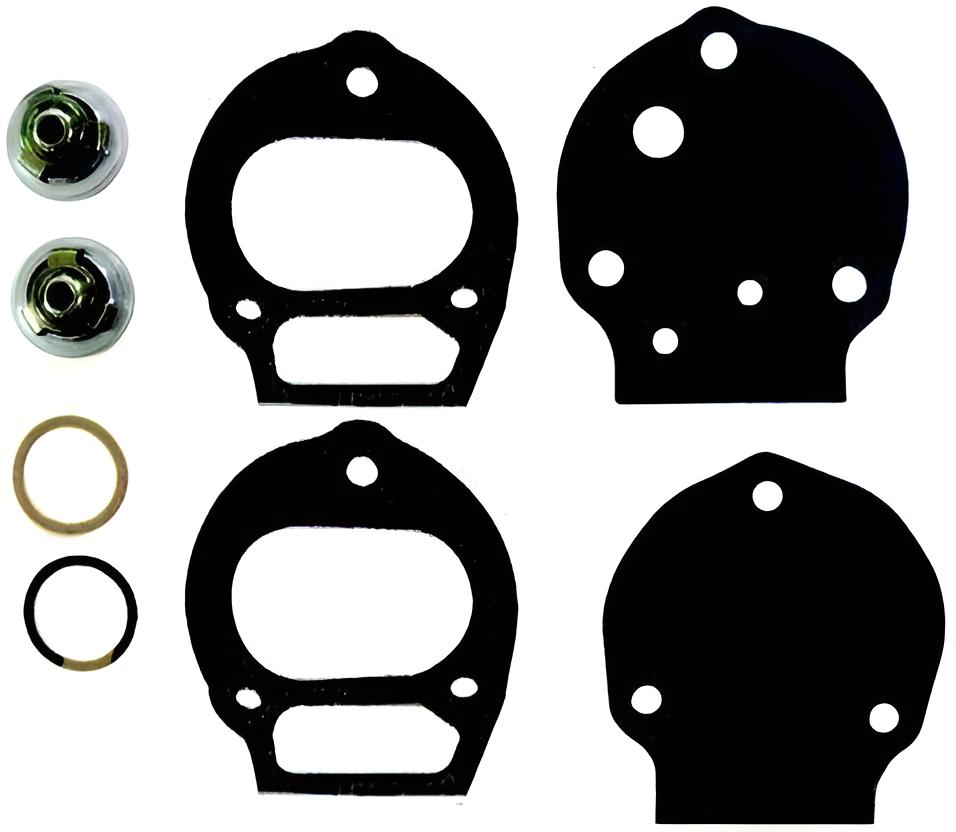 Dichtungs- Und Ventilsatz Für Kraftstoff