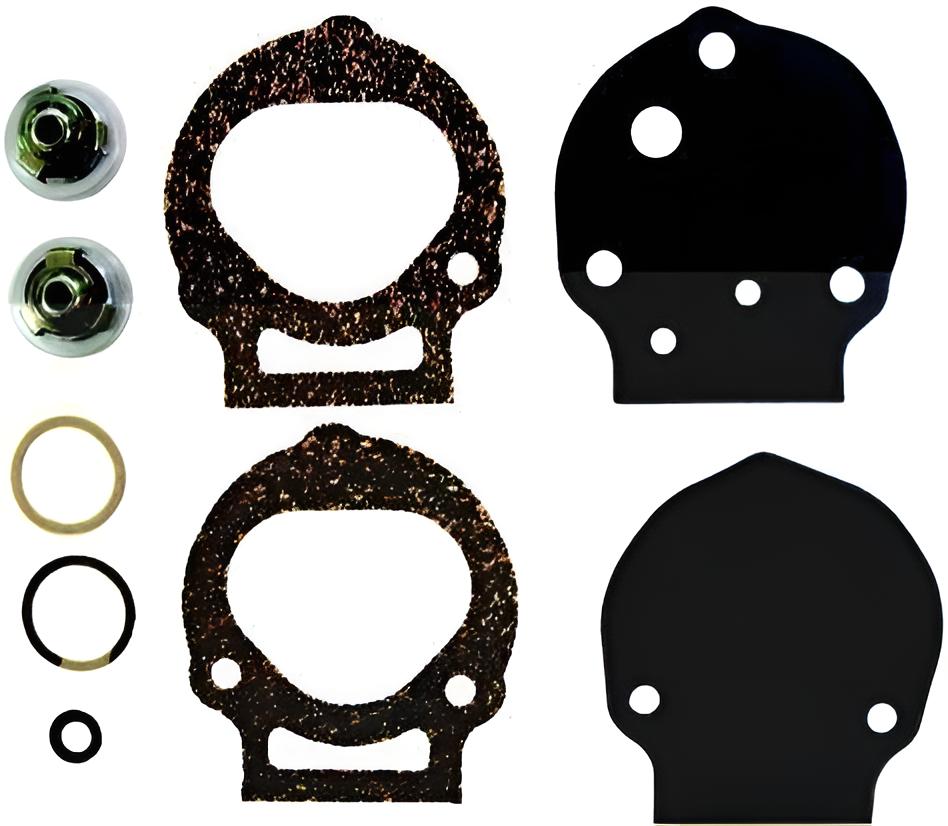 Dichtungs- Und Ventilsatz Für Kraftstoff