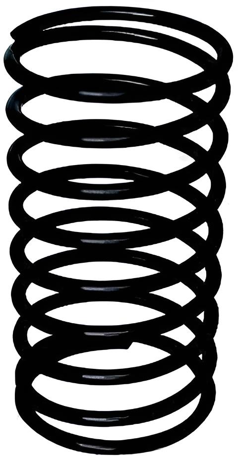 Einlassventilfeder 5.0 L Ford