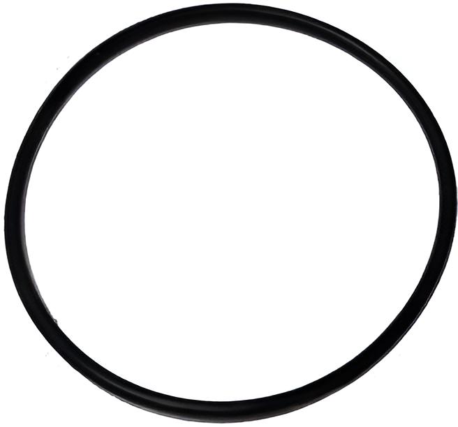 O-ring