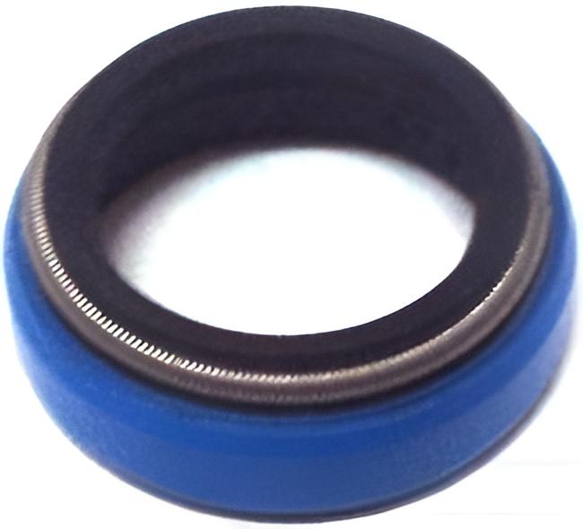 Dichtring