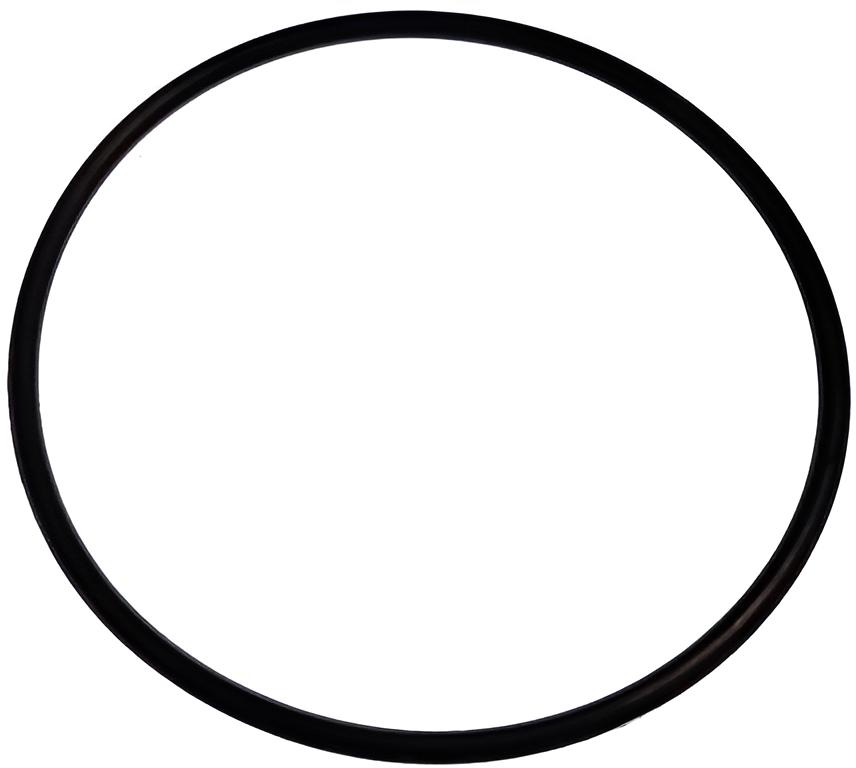 O-ring