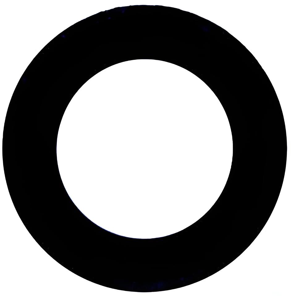 Dichtring Kurbelwelle Mercury