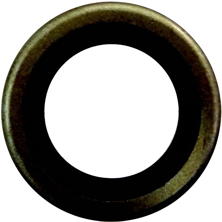 Dichtring