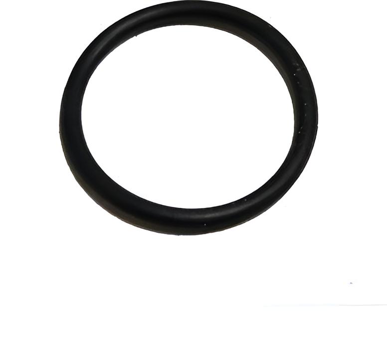 O-ring