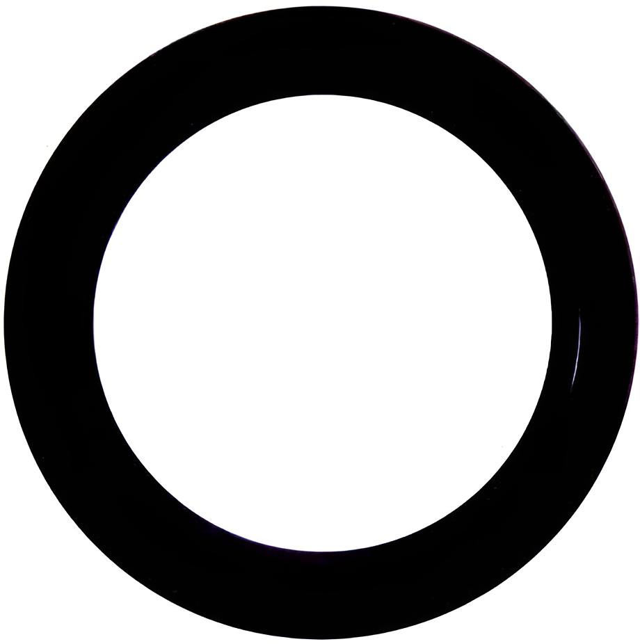 Dichtring