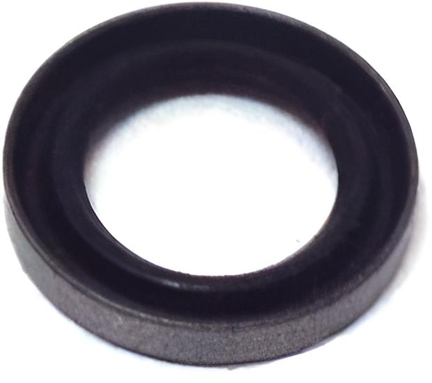 Dichtring