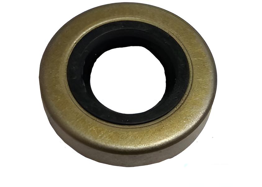 Dichtring