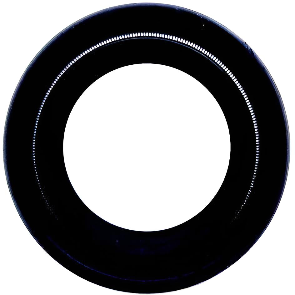 Dichtring