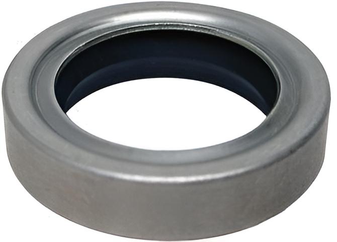 Dichtring