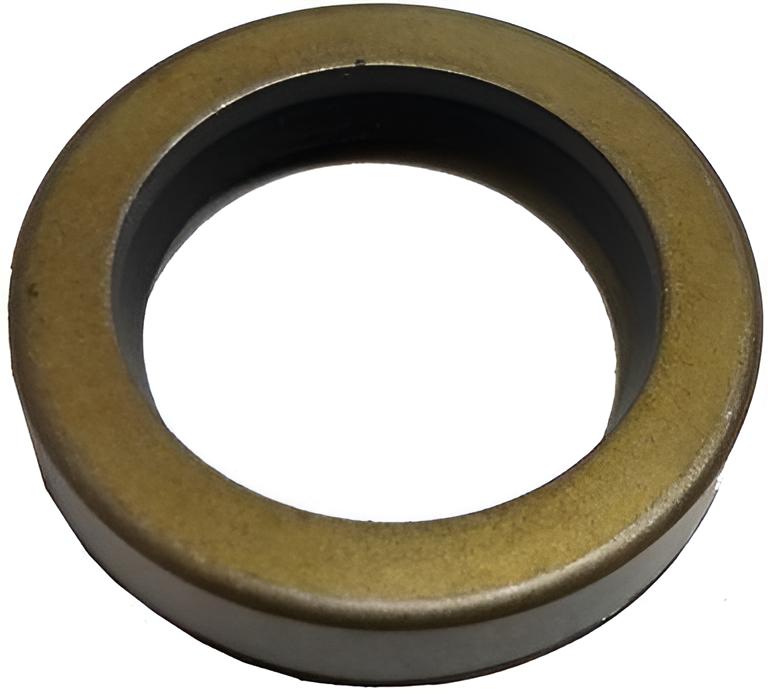 Dichtring