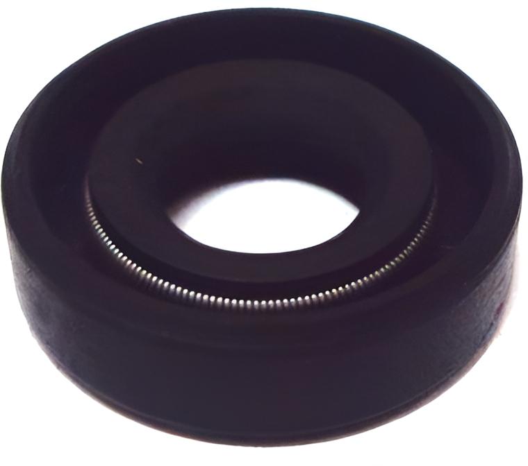Dichtring