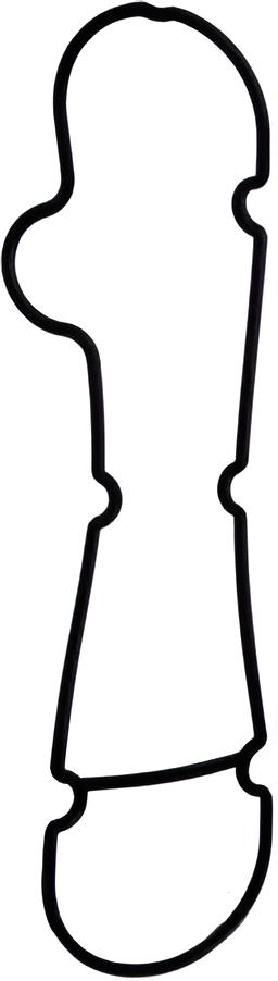 O-ring