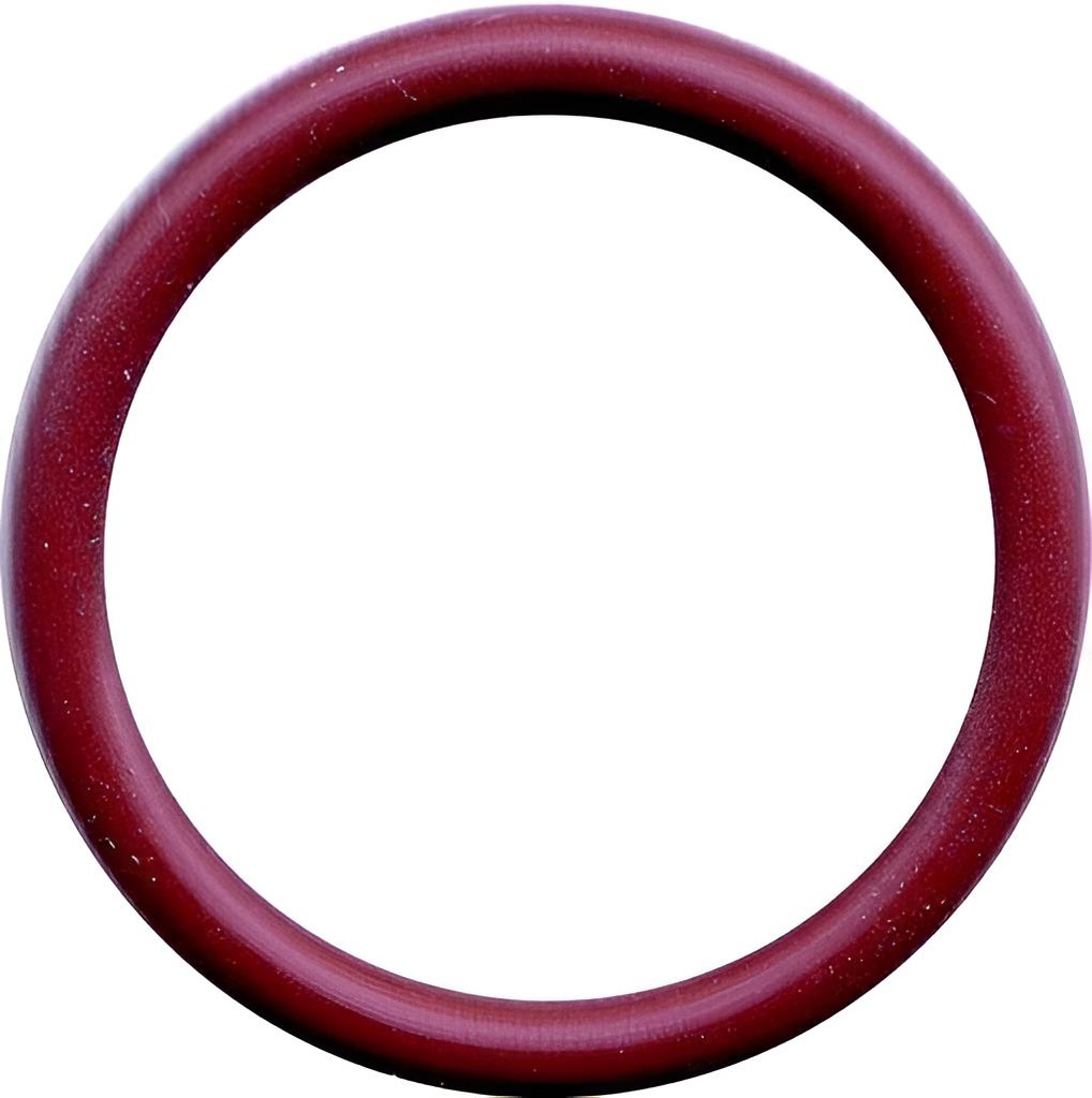 O-ring