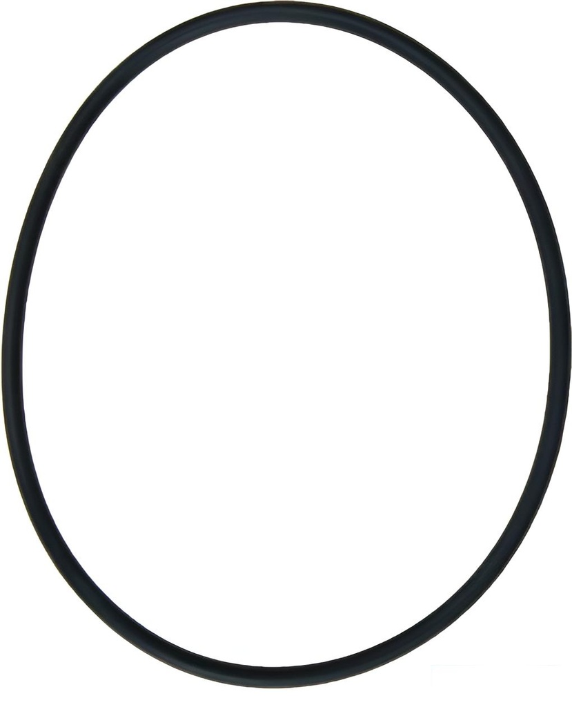 O-ring