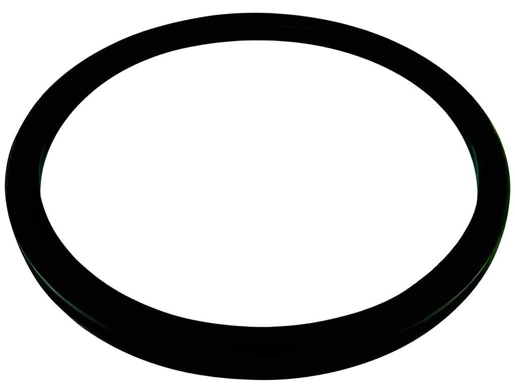 Dichtring Kurbelwelle