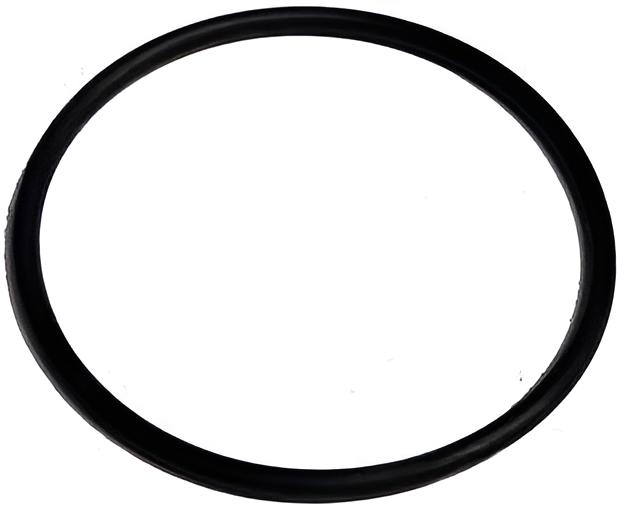 O-ring