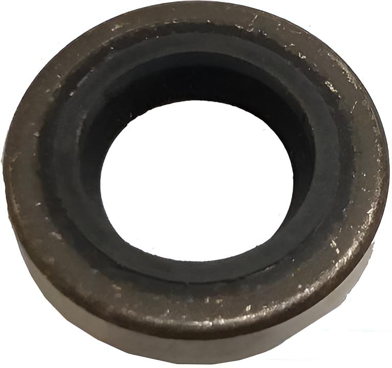 Dichtring