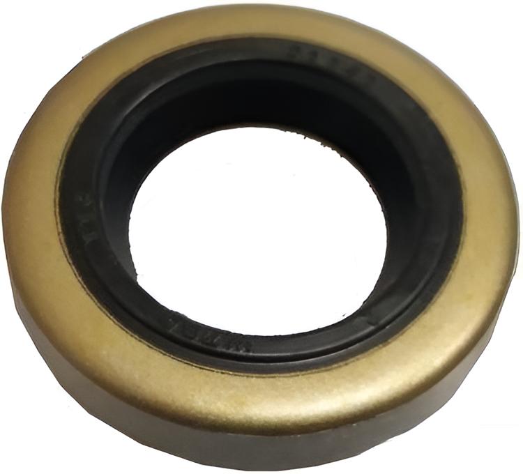 Dichtring