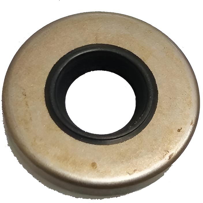 Dichtring