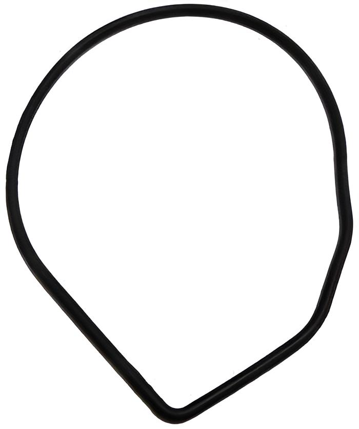 Dichtring