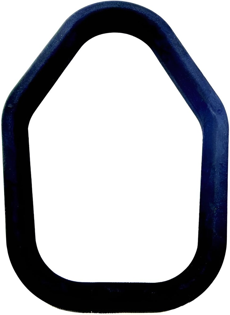 Dichtring