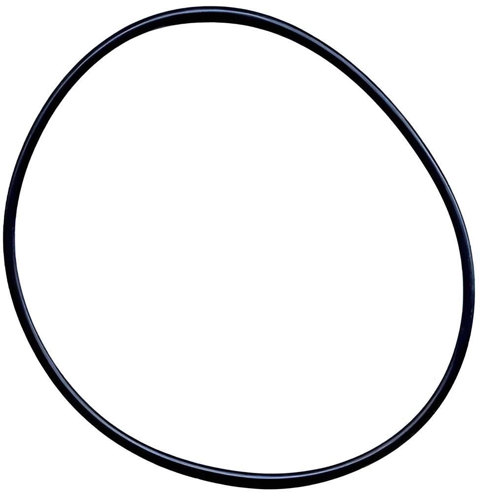 O-ring