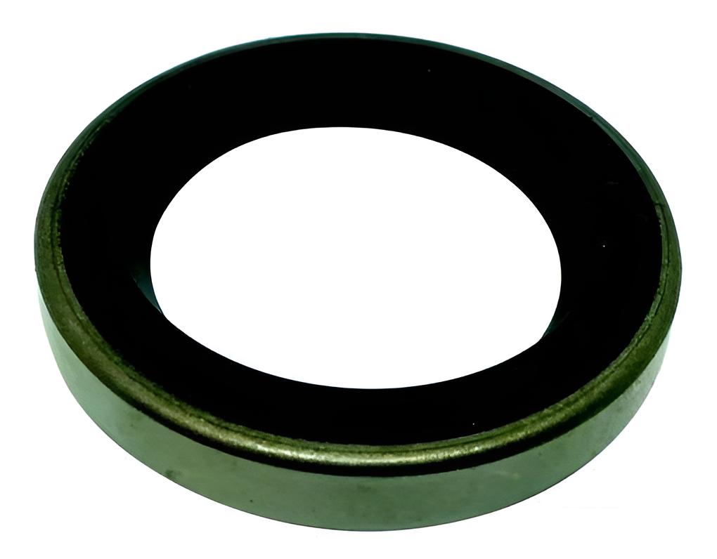 Dichtring