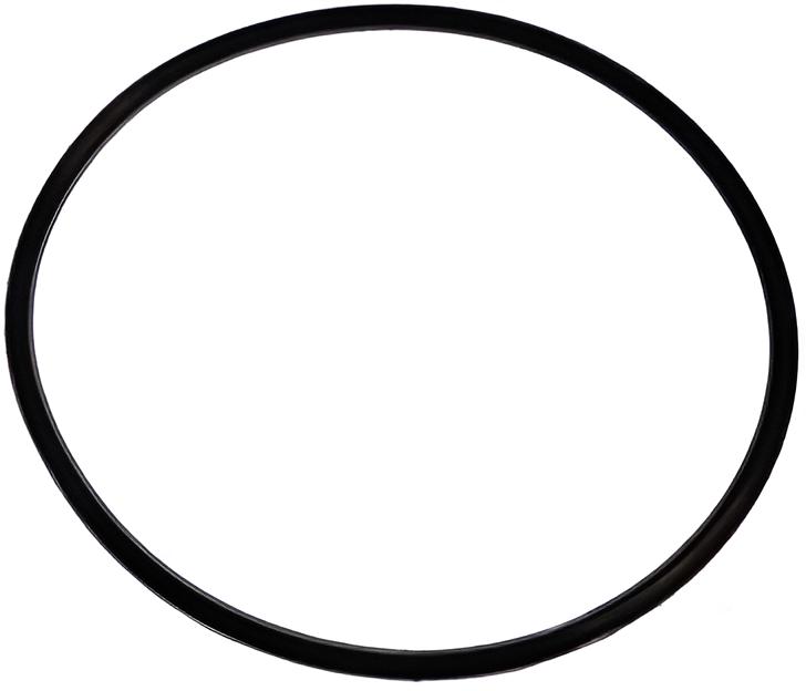 O-ring