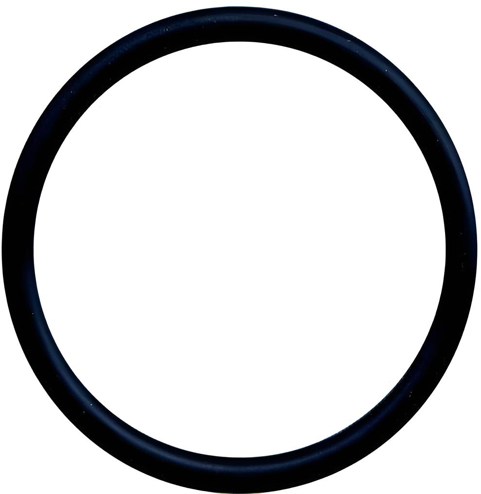 O-ring