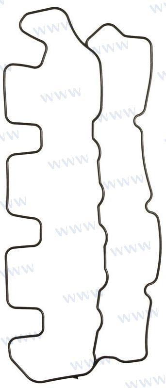 Valve Cover Gasket D2