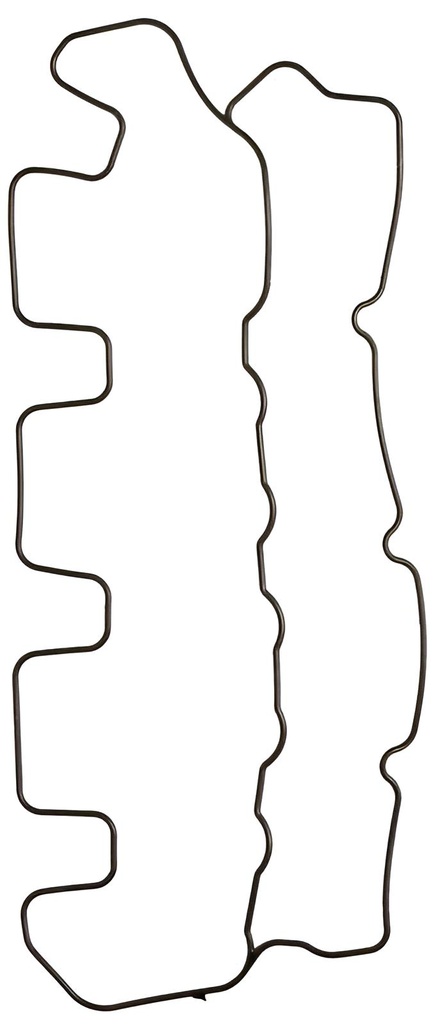 Valve Cover Gasket D2