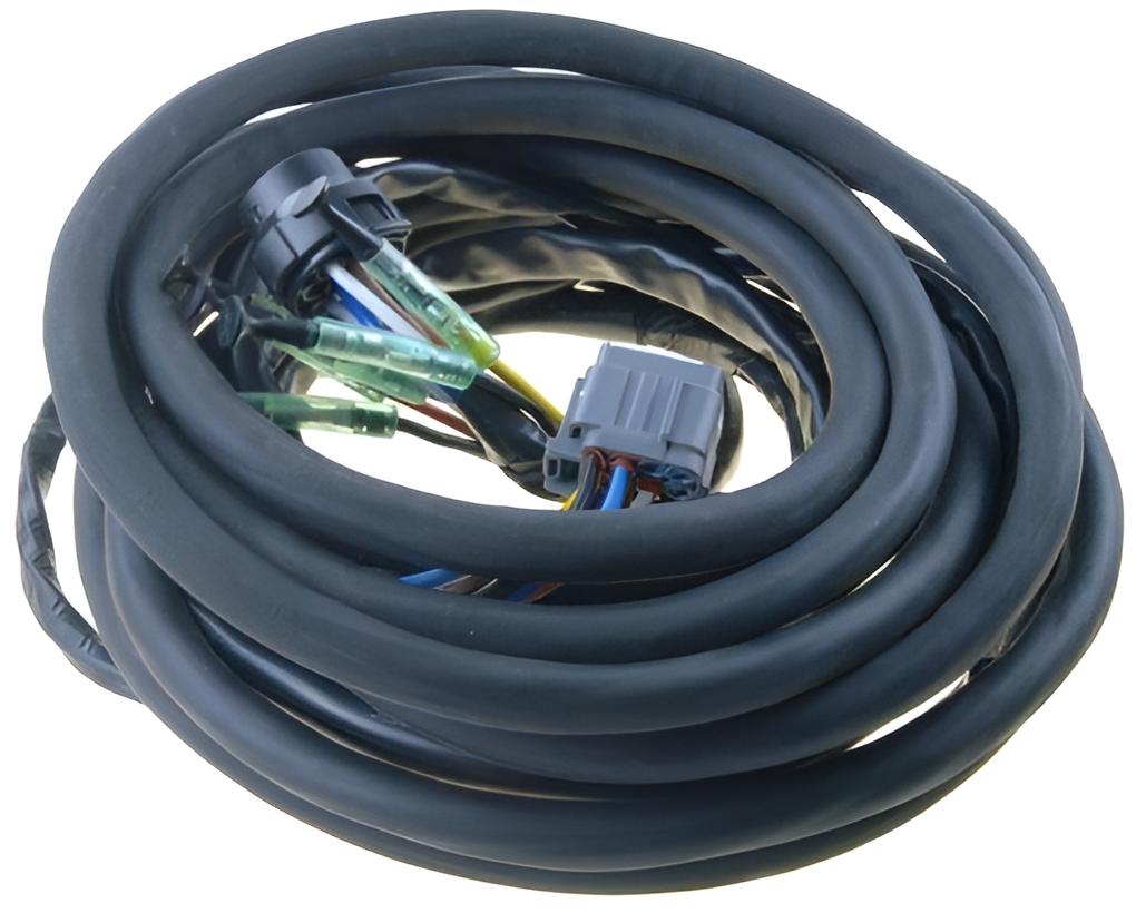 External Arnes