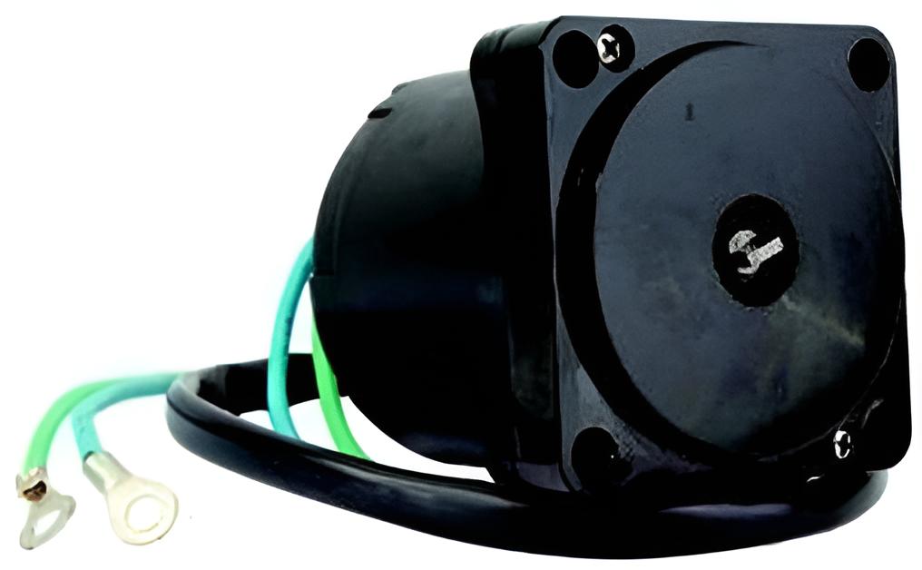 Trim Motor