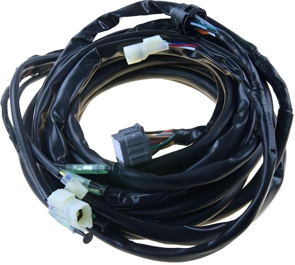 External Arnes