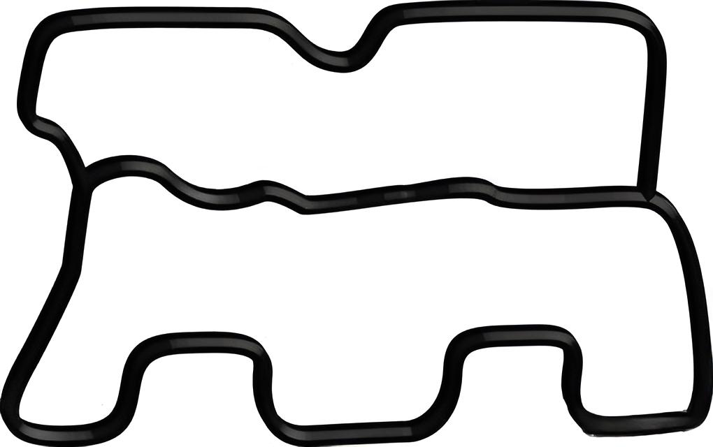 Valve Cover Gasket D1
