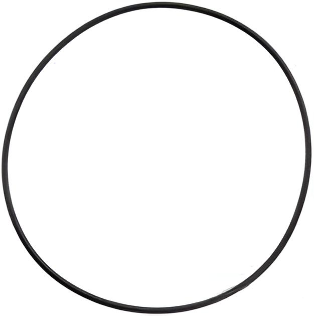 O-ring