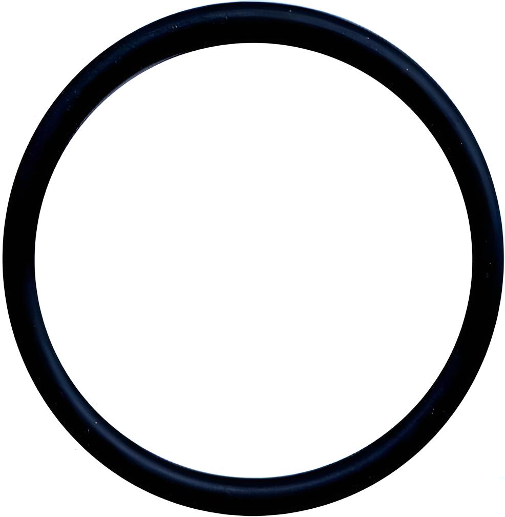 O-ring