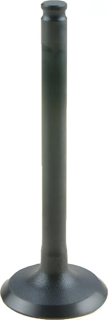 Auslassventil 5.0 L Ford