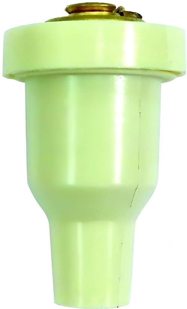 Thermostat Johson-evinrude