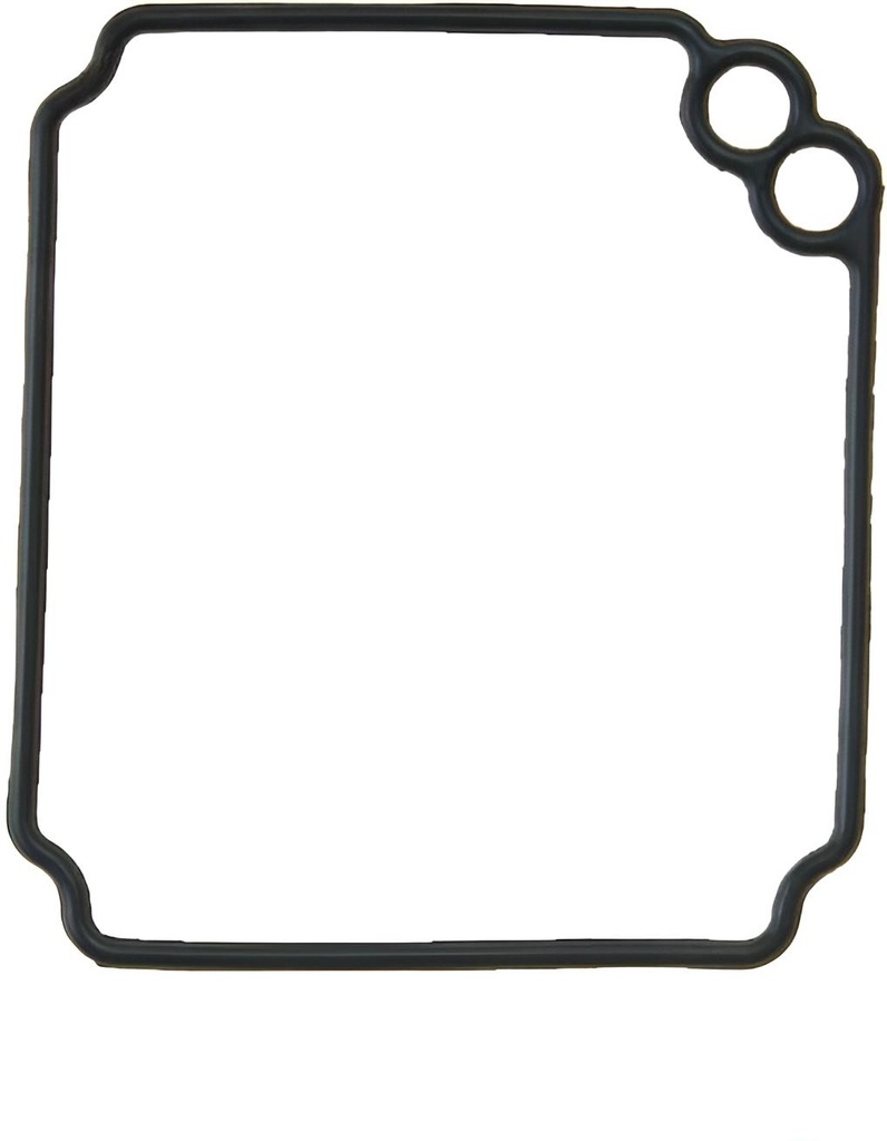 Vergaser Dichtung Yamaha