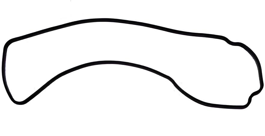 O-ring