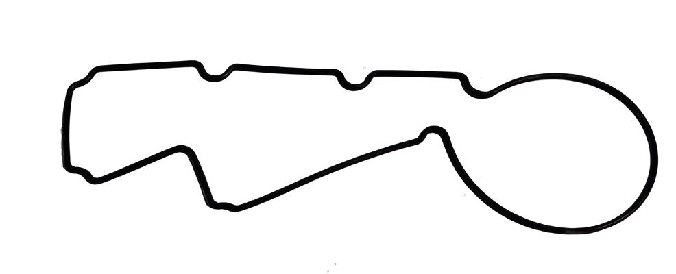 O-ring