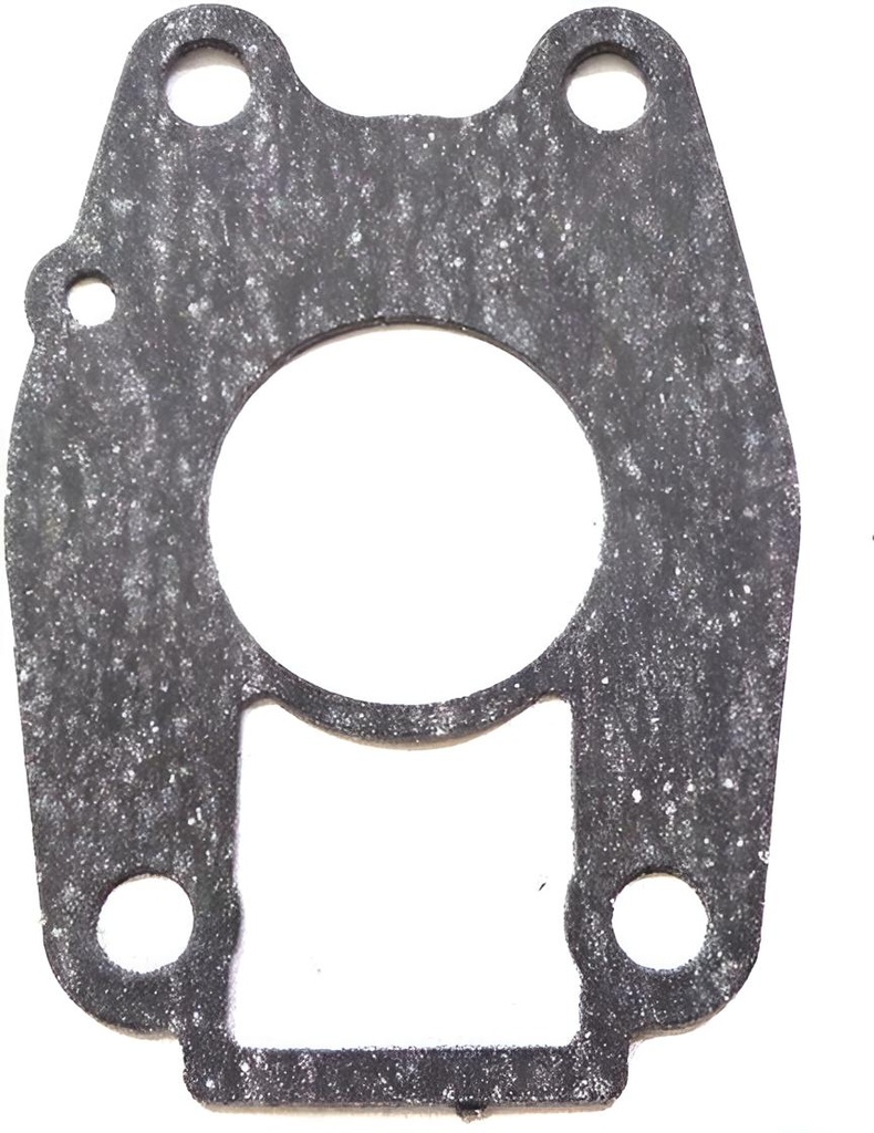 Dichtung Wasserpumpe Yamaha