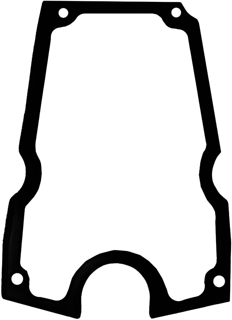 Abgasdichtung Yamaha