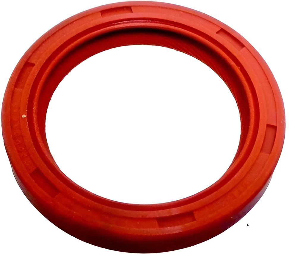 Dichtring Kurbelwelle