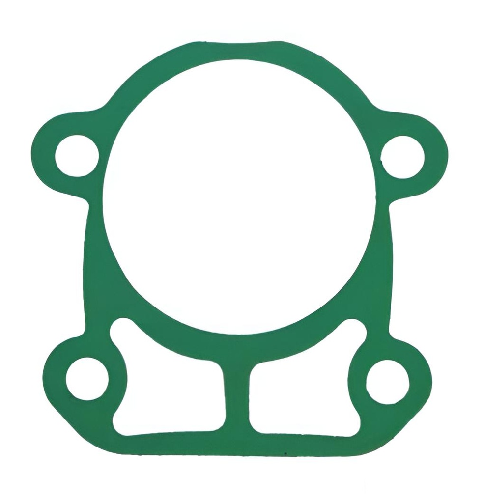 Dichtung Wasserpumpe Yamaha