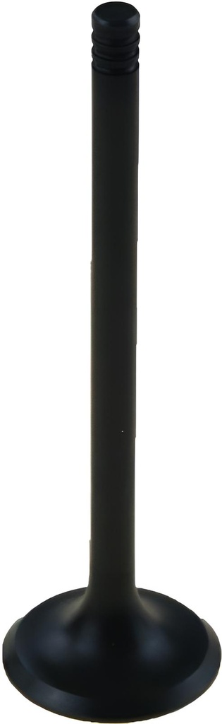 Einlassventil