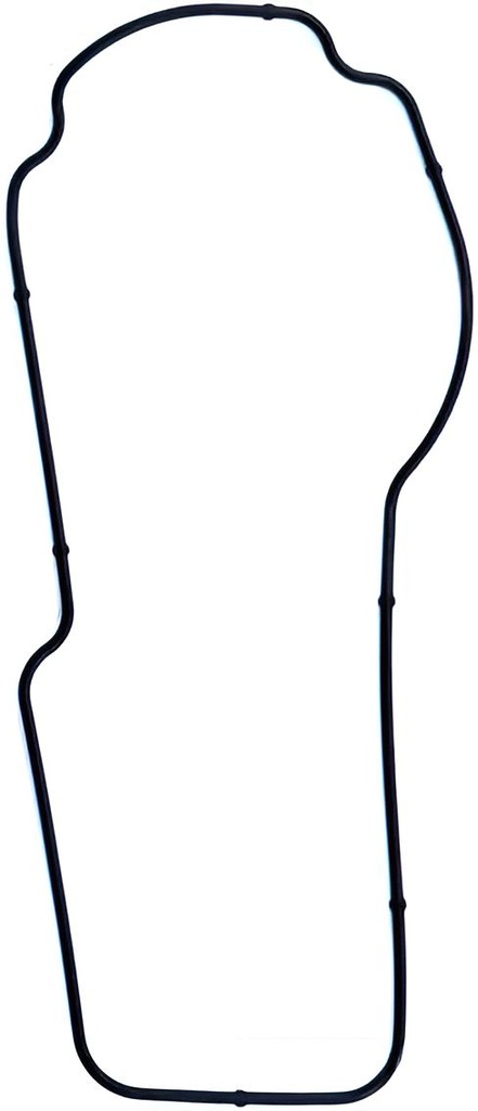 O-ring