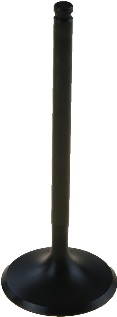 Intake Valve